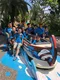 carousel chooser